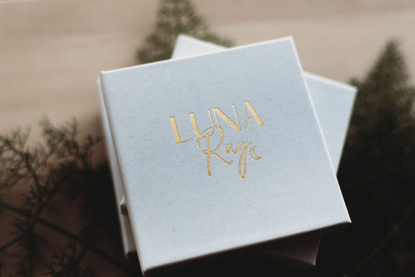 The Ava (coconut cream)
